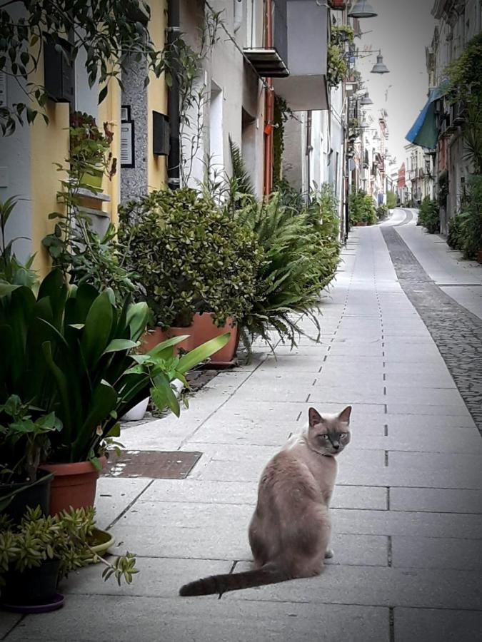 Via San Giacomo 10 Cagliari Eksteriør billede